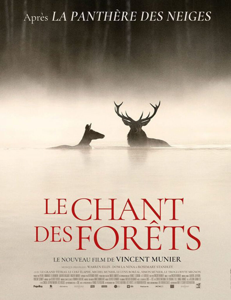 LE CHANT DES FORETS copie