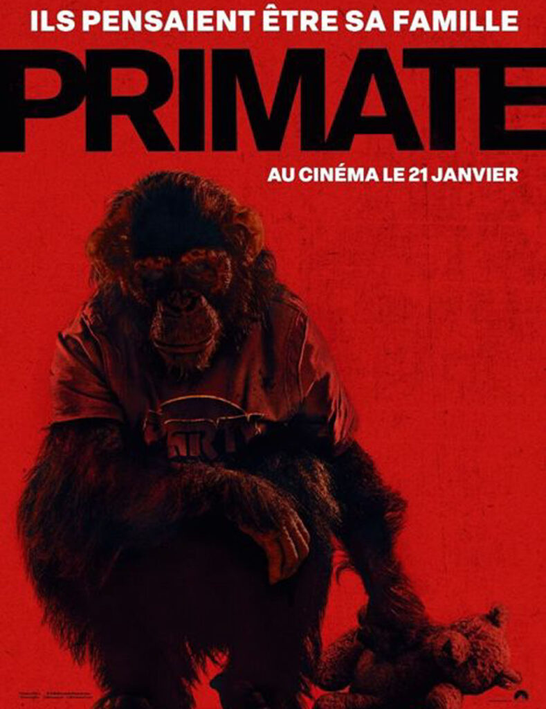 PRIMATE copie