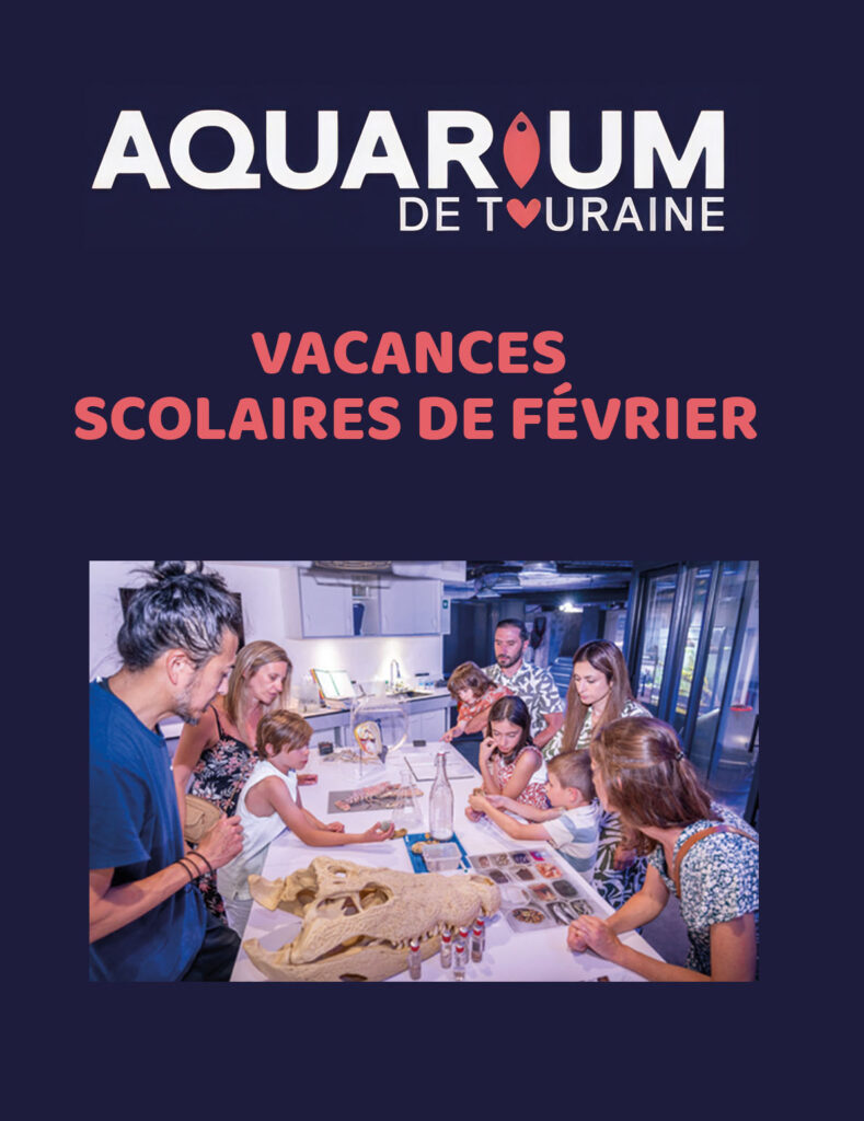 AQUARIUM2 copie