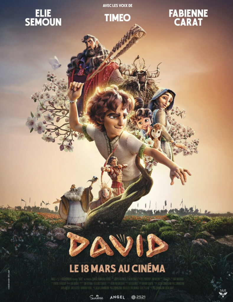DAVID copie