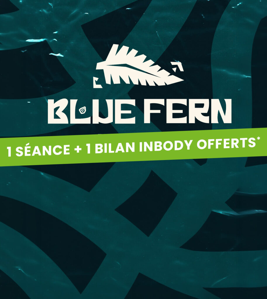 BLUE FERN copie