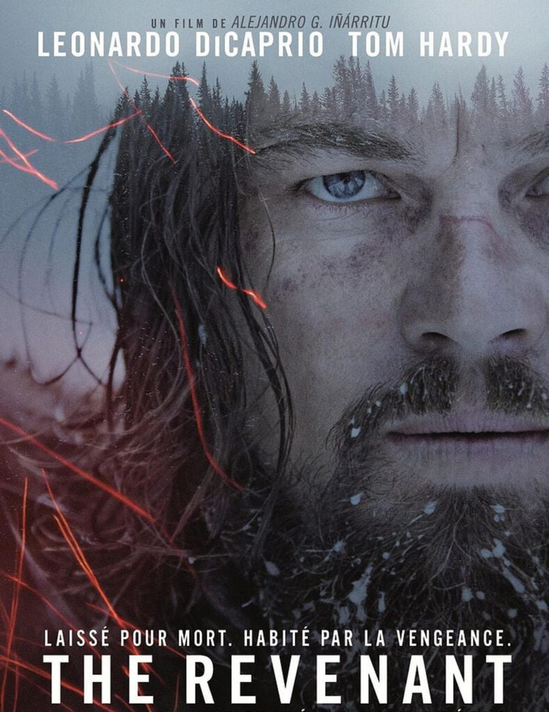 THE REVENANT - VO copie