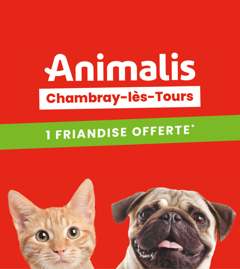 ANIMALIS copie