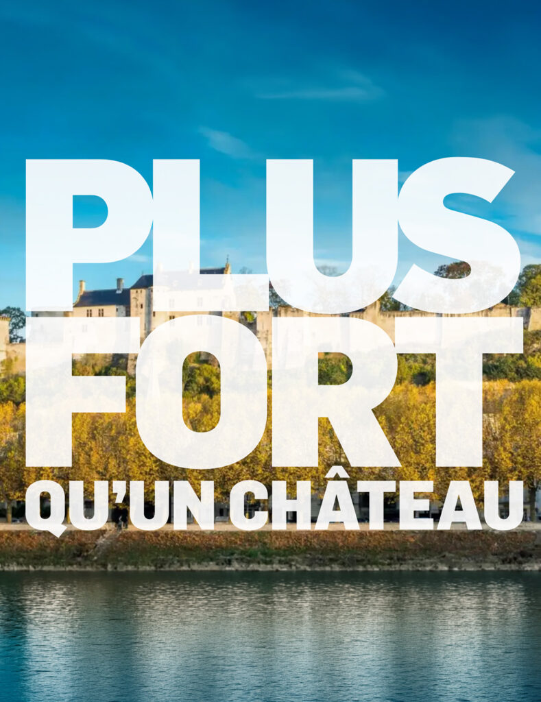 FORTERESSE DE CHINON copie