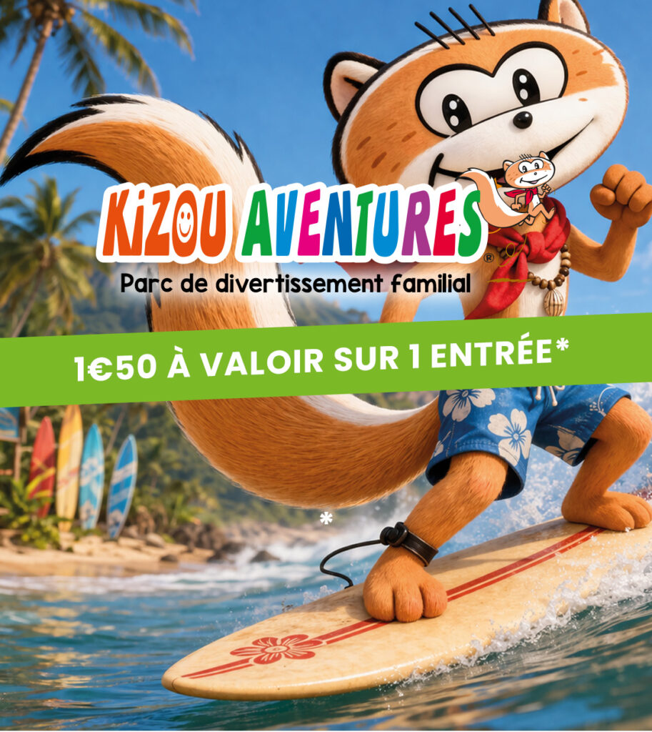 KIZOU copie