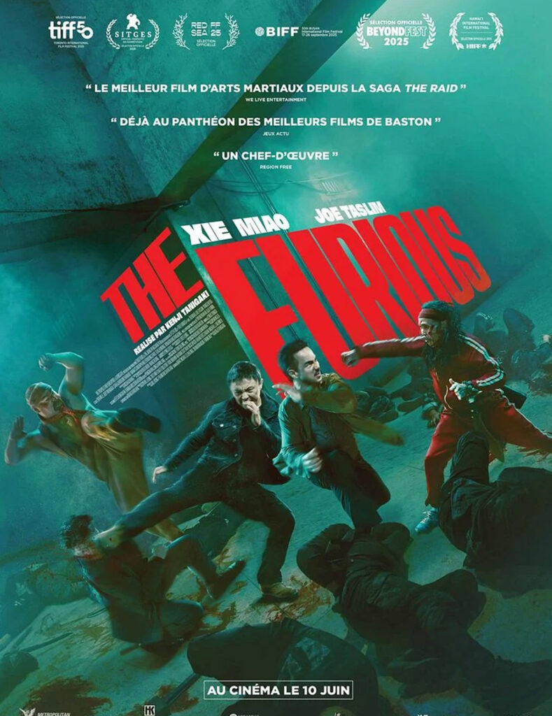 THE FURIOUS copie
