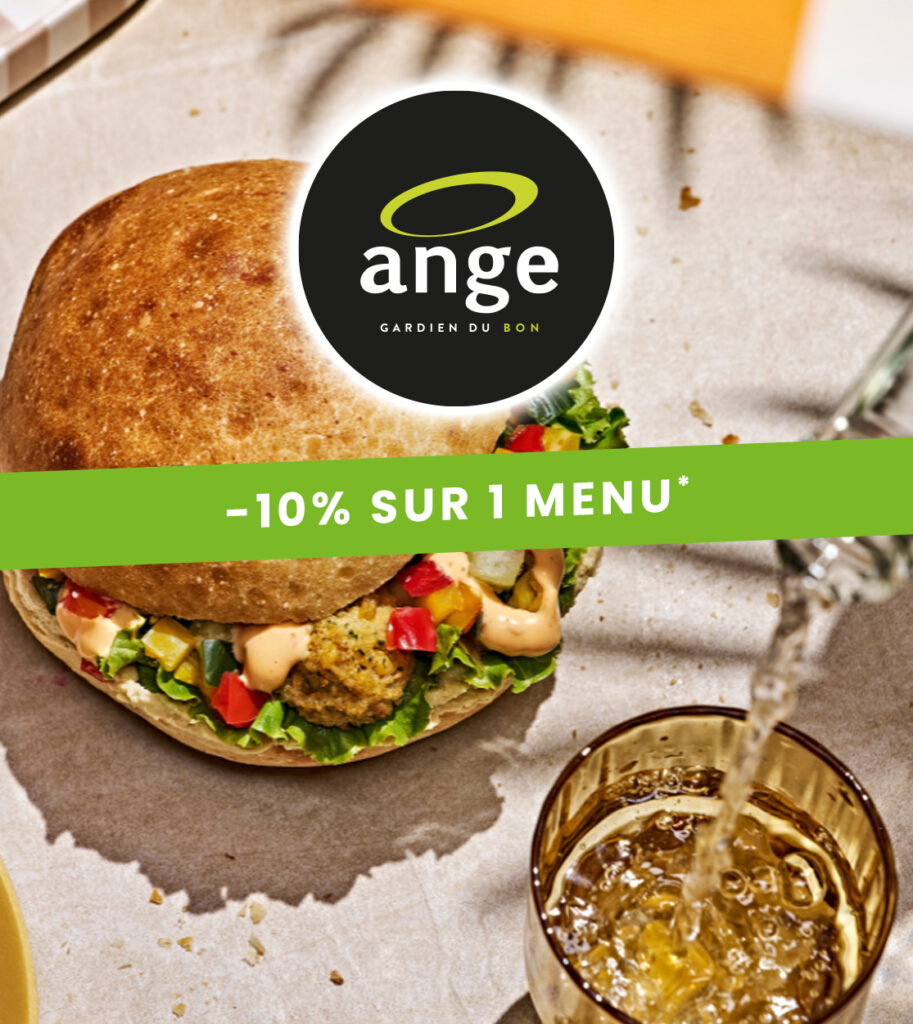 ANGE MENU 627 copie